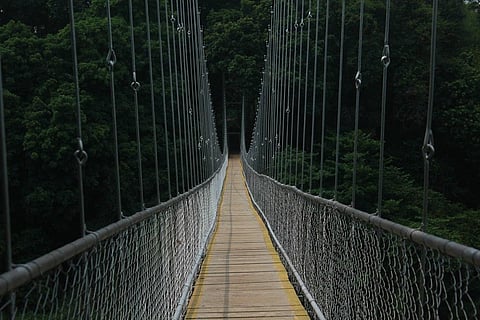Hanging bridge in Nilambur (Photo | Kerala Tourism website)