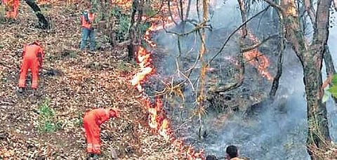 NDRF personnel clear vegetation to check forest fires | FILE