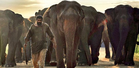 A still from Rana Daggubati-starrer 'Aranya'.