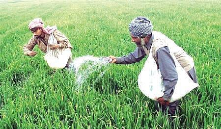 Representational Image. (File photo| EPS)