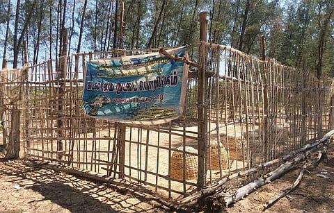 The hatchery in Thenparcoast in Kanniyakumari district. (Special Arrangement)