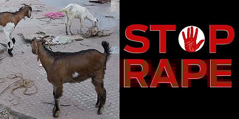 For representational purposes