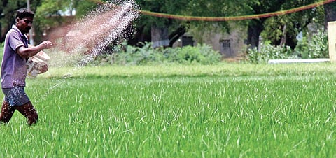 New dawn for Delta: ONGC’s hydrocarbon proposal returned