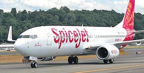SpiceJet announces services to help shrimp farmers