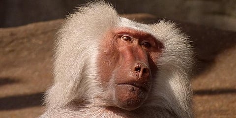 For representation purposes