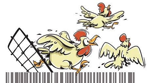 For representational purposes