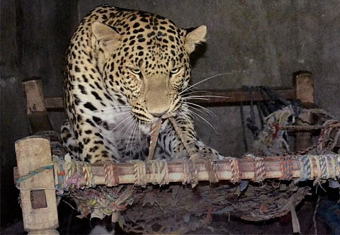 Image for representation (File photo | PTI)