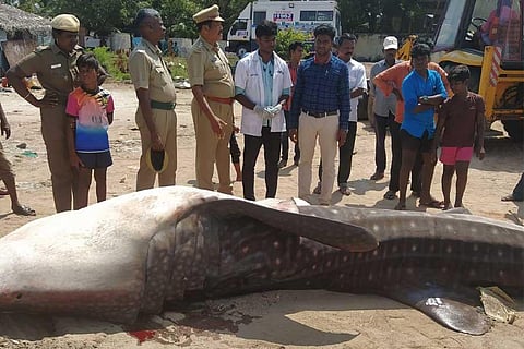 Fishers to be sensitized on vulnerable animals