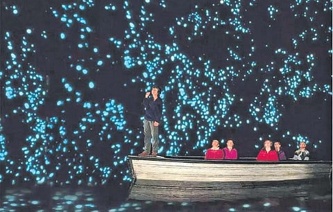 Exploring caves illuminated by thousands of glowworms is a surreal experience.