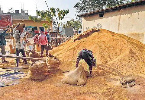 A paddy procurement centre in Jaleswar block of Balasore district. (Photo | EPS)