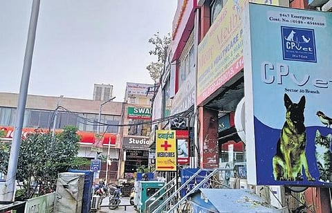 (Inset) Noida’s Sec-50’s favourite chaat-walla put up a board informing locals about change in venue; views from the block market