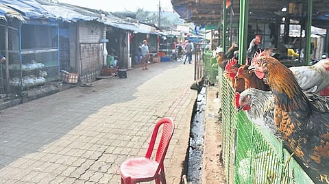 Image for represenation