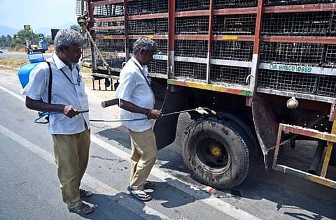 Viral social media posts make poultry farms sick