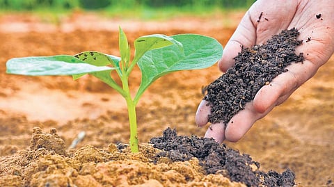 For representational purposes (File Photo | EPS)