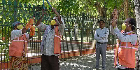 BBMP workers, who have been provided with masks, are seen cutting unwanted cables in Bengaluru on Monday. (Photo| Meghana Sastry, EPS)
