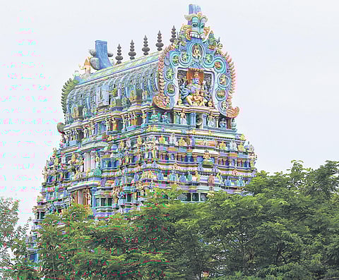 Photos: Chithra Madhavan