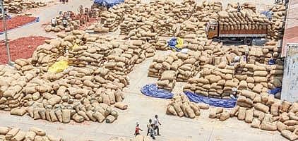 Chilli market yard in Guntur. (Photo| EPS)