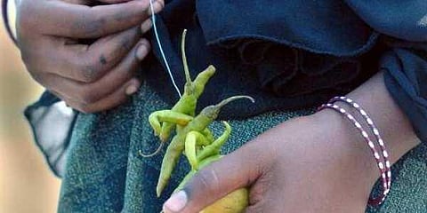 For representational purposes