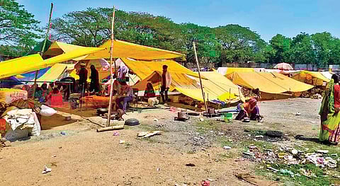The nomads living at the PHED ground near Ainthapali in Sambalpur I EXPRESS