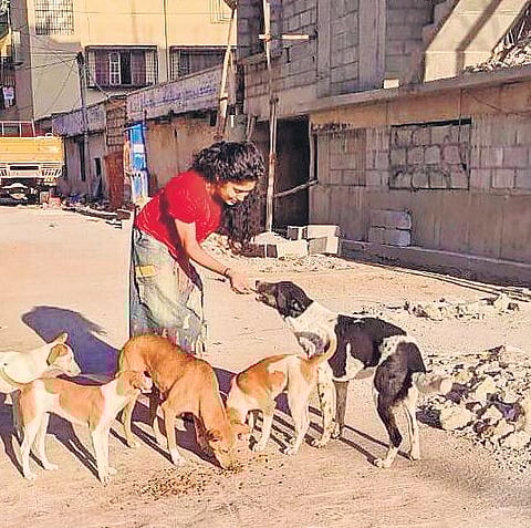 Samyukta Hornad; (inset) feeding strays