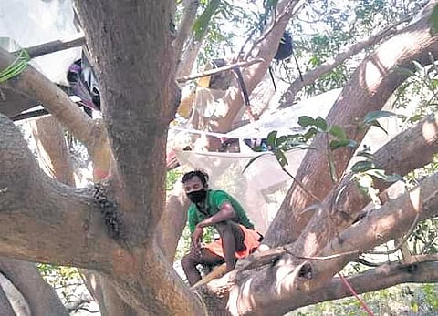 A man with his belongings on a tree. (Photo | EPS)