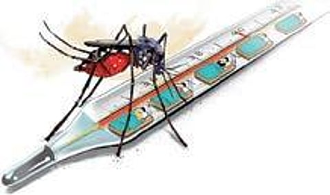 Chikungunya scare looms large in Attukal festival zone