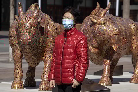 A woman wearing a mask stands near bull sculptures depicting prosperity along a retail street in Beijing on Tuesday, March 3, 2020. (Photo | AP)