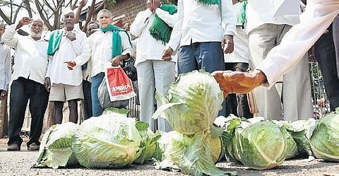 Owing to fall in prices, farmers dump unsold cabbage in front of the DC office as a mark of protest, in Belagavi on Monday |ASHISKRISHNA HP