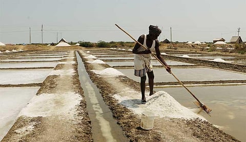 Salt production begins on time this year