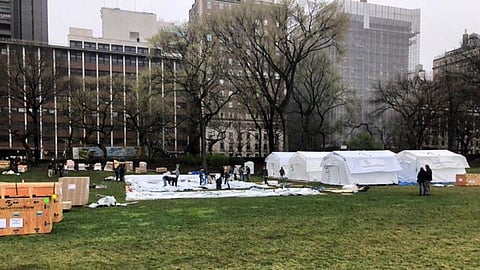 Picture of field hospitals being built in New York's Central Park (Photo | Twitter)