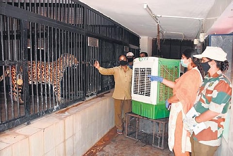 Workers put up air coolers in front of animal enclosures at the Nehru Zoological Park in Hyderabad on Sunday