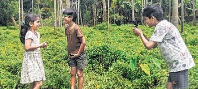 The actors’ organic performances, which are at times peppered with dark humour, is the main highlight.