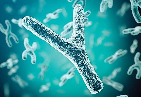 Evolution-wise, men are going out of fashion