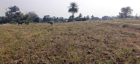 School a dream for tribal kids, as encroachers ‘gobble up’ land