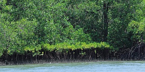 For representational purposes