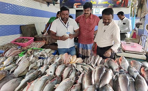 Food safety officials inspecting the shops to detect formalin-laced and spoiled fishes at Pollachi on Sunday. (Photo | EPS)