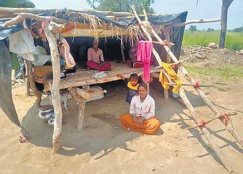 A family in their makeshift hut at their farmland, a few kilometre away from their village, in Kamareddy on Friday