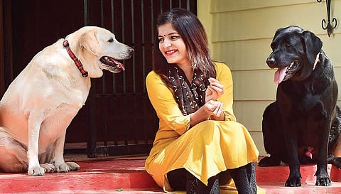 Pets, your best bets during lockdown days