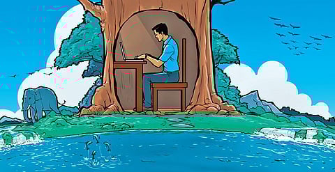 Work from home (Illustrations By Prabha Shankar)