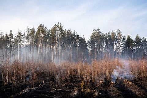 Forest fire near Chernobyl nuclear plant. (Photo| AFP)