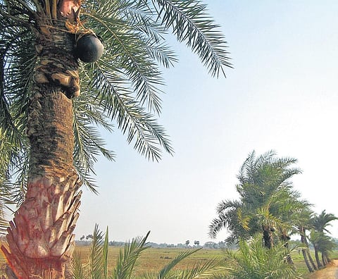 Tadi takes on the mantle of King of Good Times