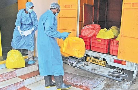 Safenviron employees collecting biowaste from Vijayawada Government General Hospital on Tuesday | Prasant Madugula