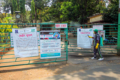 A municipal worker sprays disinfectant on the gate of Sanjay Gandhi National Park during the nationwide lockdown imposed in wake of the coronavirus outbreak at Borivali in Mumbai Thursday April 16 2020. (Photo | PTI)