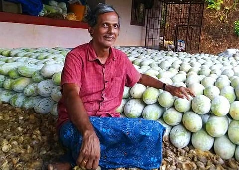Shankara Bhat with his ash gourd produce. (Photo |EPS)