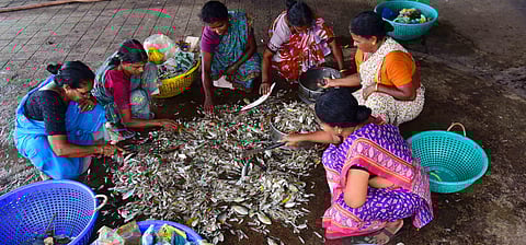 Image for representational purpose only. ( File | EPS)