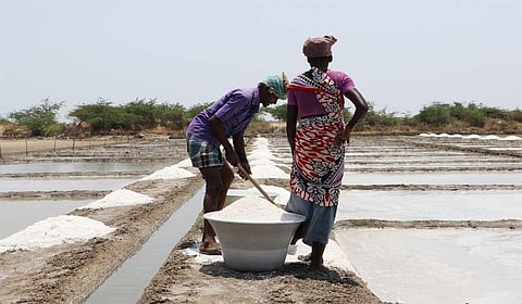 Salt production back on its feet in Vedaranyam