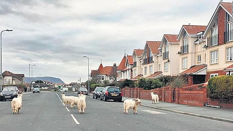 image used for representation.