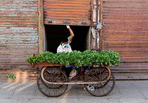 A vegetable during ongoing COVID-19 lockdown in Jalandhar Sunday April 19 2020. (Photo | PTI)