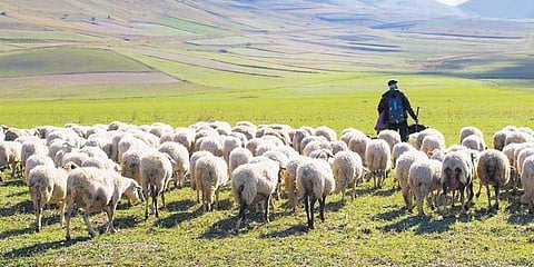 Image for representation