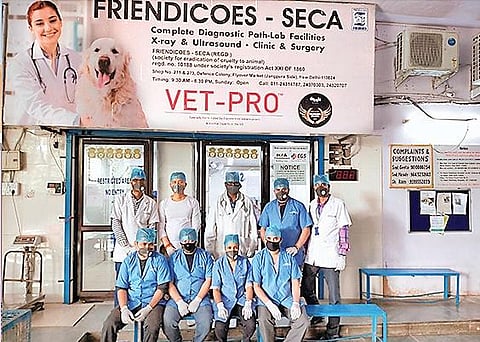 Friendicoes Society for the Eradication of Cruelty to Animals